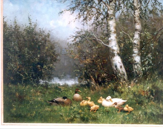 Constant Artz | Ducks with ducklings on the riverbank, oil on panel, 41.0 x 51.0 cm, signed l.l.