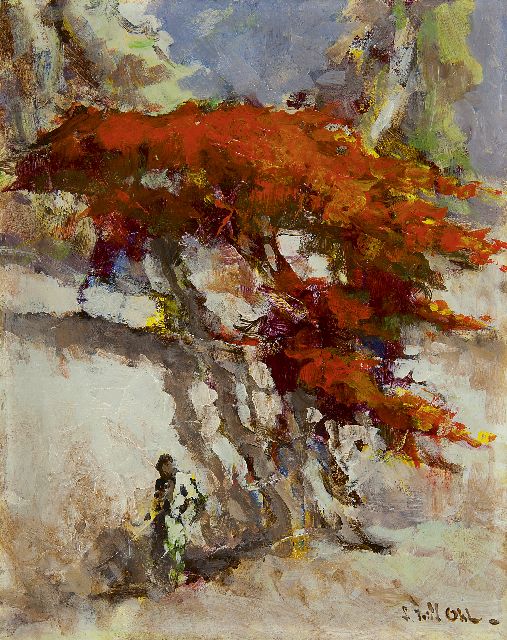 Ohl L.F.  | Flame tree by a white wall, oil on board 29.9 x 24.0 cm, signed l.r.