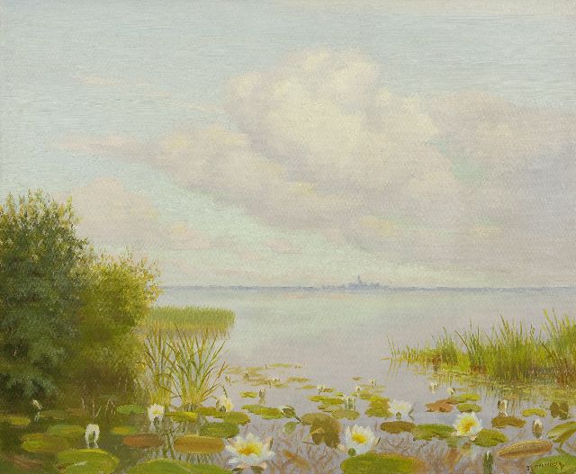 Smorenberg D.  | Waterlillies in the  Loosdrechtse Plassen, oil on canvas 49.0 x 60.0 cm, signed l.r.