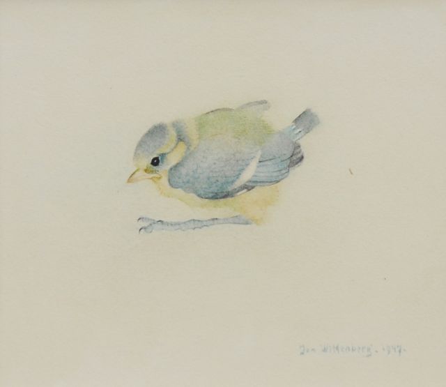 Jan Wittenberg | A young bluetit, watercolour on paper, 10.8 x 13.3 cm, signed l.r. and dated 1947