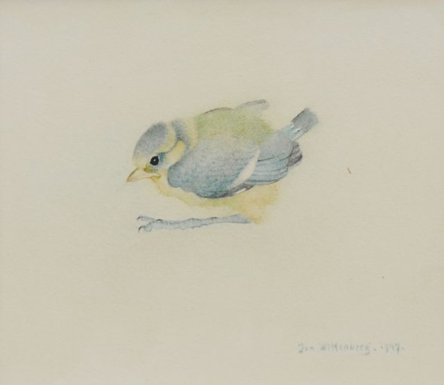 Wittenberg J.H.W.  | A young bluetit, watercolour on paper 10.8 x 13.3 cm, signed l.r. and dated 1947