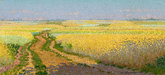 Co Breman | A country road in Blaricum, oil on canvas, 26.2 x 55.0 cm, signed l.r. and dated 1904