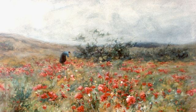 Jan Hillebrand Wijsmuller | A field with poppies, watercolour on paper, 31.5 x 51.5 cm