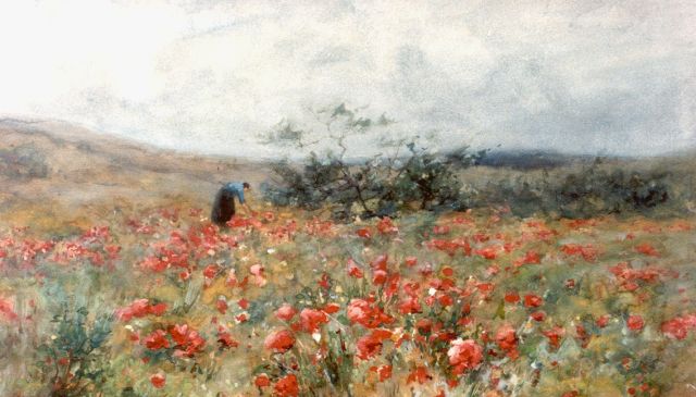 Wijsmuller J.H.  | A field with poppies, watercolour on paper 31.5 x 51.5 cm