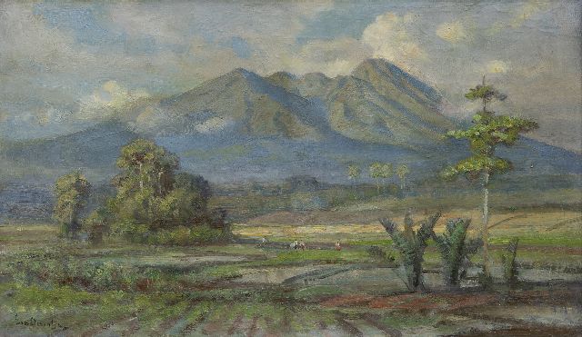 Ernest Dezentjé | A view on the Goenoeng Salak, Java, oil on canvas, 29.3 x 49.5 cm, signed l.l. and dated on the stretcher 4/6/'51