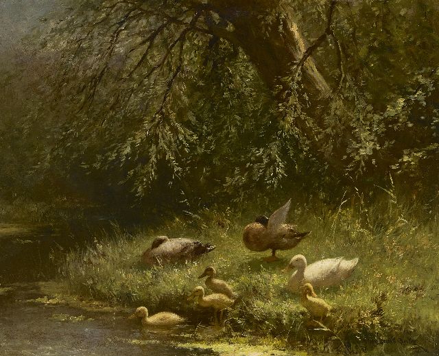 Constant Artz | Ducks near the waterfront, oil on panel, 40.1 x 50.2 cm, signed l.r.