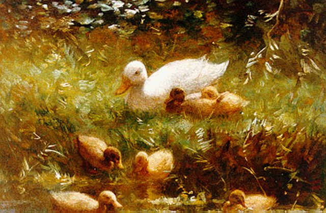 Constant Artz | Duck with ducklings watering, oil on panel, 18.1 x 24.0 cm, signed l.l.