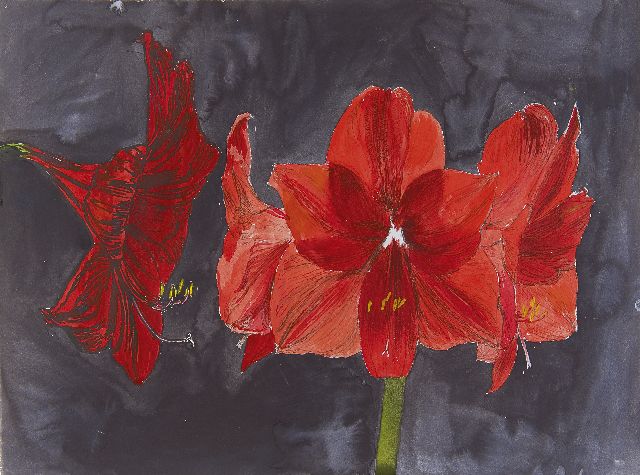 Erik Andriesse | Amaryllis, mixed media on paper, 49.7 x 66.5 cm, painted ca. 1990