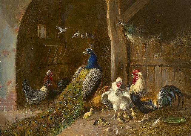 Julius Scheuerer | Peacock couple with rooster and chickens in the barn, oil on panel, 22.2 x 31.1 cm, signed c.r.