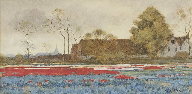 Anton Koster | Bulb fields, watercolour on paper, 22.2 x 44.5 cm, signed l.r.