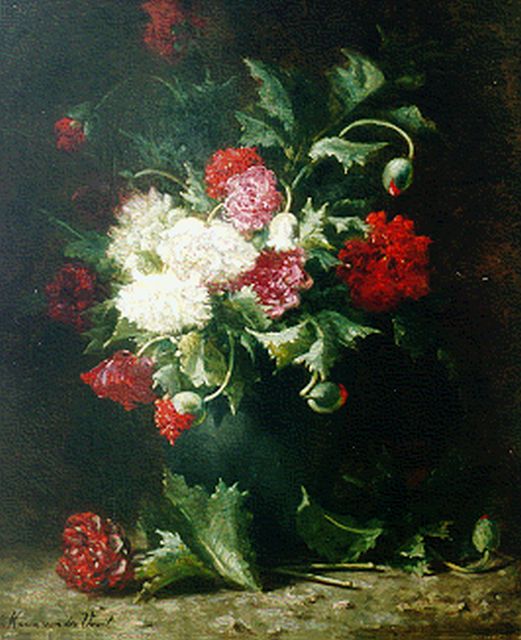 Voort in de Betouw-Nourney M. van der | A still life with poppies and peonies, oil on canvas 79.1 x 65.4 cm, signed l.l.