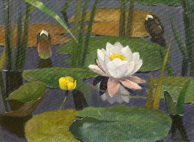 Vermeulen A.  | Waterlillies, oil on canvas 30.4 x 40.7 cm, signed l.r.