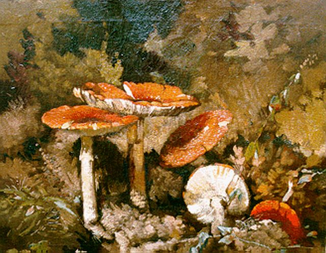 Theo Goedvriend | Fly agarics, oil on canvas, 46.7 x 56.0 cm, signed l.l.