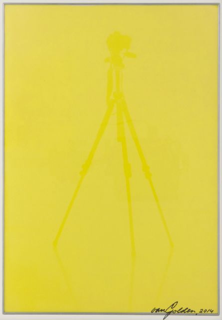 Daan van Golden | Yellow Reflection, inkjet print, 34.5 x 25.0 cm, signed l.r. and dated 2014
