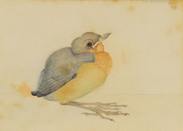 Wittenberg J.H.W.  | A young blackbird, watercolour on paper 13.0 x 18.0 cm, signed u.r. and dated 1931