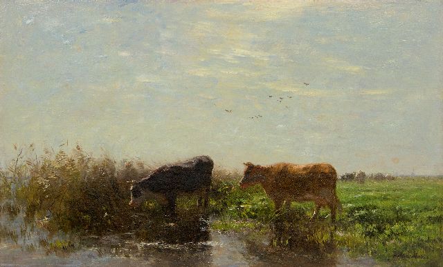 Willem Maris | Two cows in a Dutch landscape, oil on canvas, 53.6 x 78.5 cm, signed l.r.