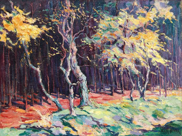 Adri Pieck | Sunny forest edge, oil on canvas, 49.5 x 65.5 cm, signed l.r.