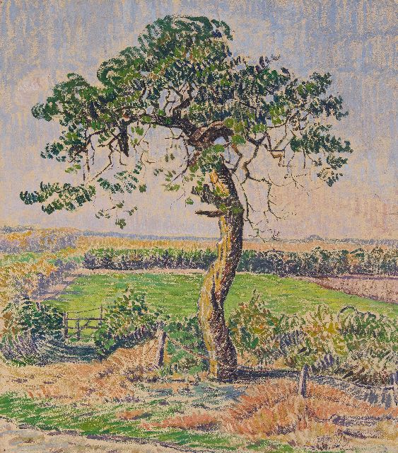 Edith Pijpers | Old tree in the garden, oil on paper, 57.8 x 51.1 cm, signed l.r. and without frame