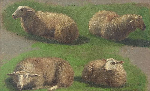 Frans Lebret | Study of sheep, oil on paper laid down on panel, 23.4 x 37.0 cm