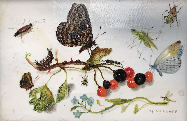 Verhoef H.  | A still life with butterflies, insects and berries, oil on canvas 10.3 x 15.5 cm, signed l.r.