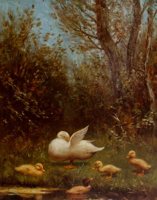 Constant Artz | Duck with ducklings on the riverbank, oil on panel, 24.1 x 18.1 cm, signed l.l.