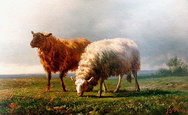Jan Bedijs Tom | Sheep in a landscape, oil on panel, 14.6 x 22.8 cm, signed l.r.