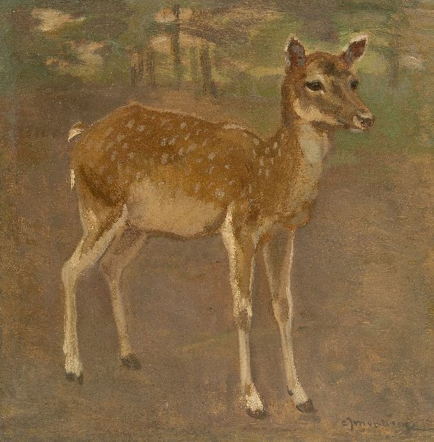 Mension C.J.  | Ein Kitz, oil on board 26.5 x 25.9 cm, signed l.r.