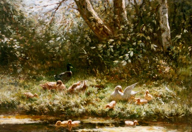 Constant Artz | Ducks with ducklings on the riverbank in summer, oil on canvas, 30.0 x 40.2 cm, signed l.l.