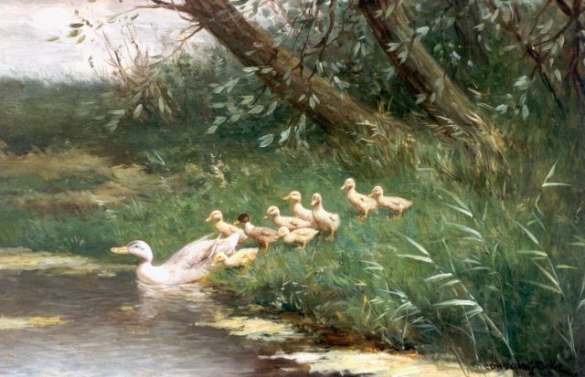Constant Artz | A duck with ducklings watering, oil on canvas, 39.7 x 60.0 cm, signed l.r.