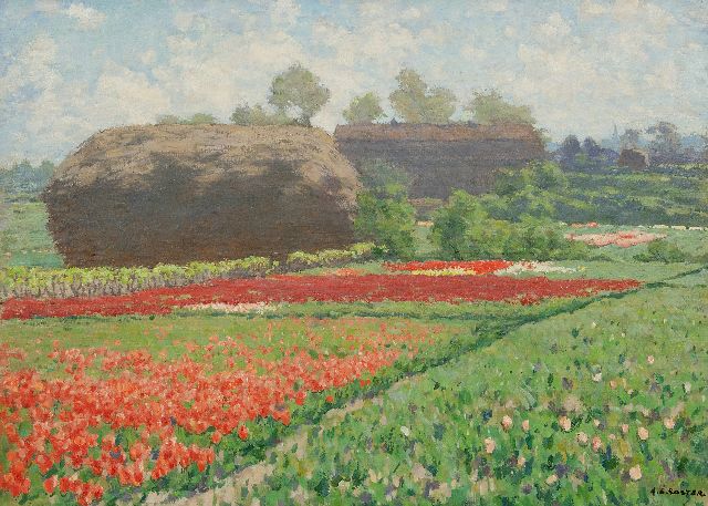 Anton Koster | Late tulips and a reed stack near Bennebroek, oil on canvas, 50.6 x 70.5 cm, signed l.r.