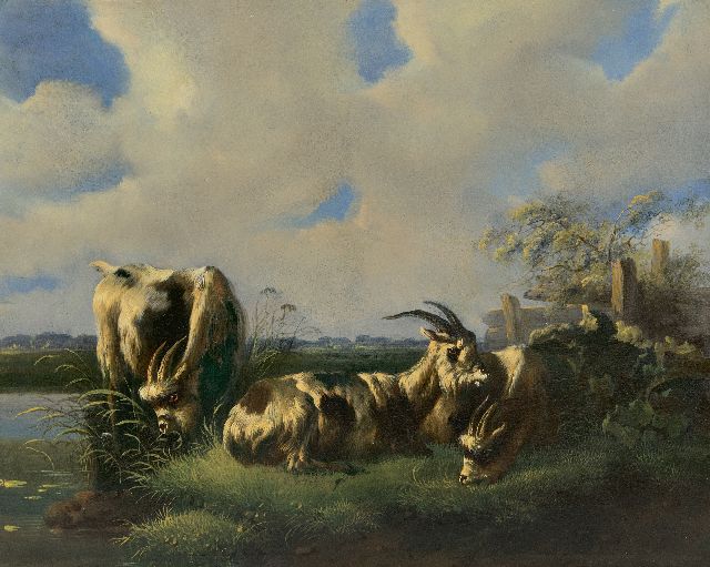Verhoesen A.  | Theww Dutch goats in a meadow, oil on panel 27.0 x 34.3 cm, signed l.r.
