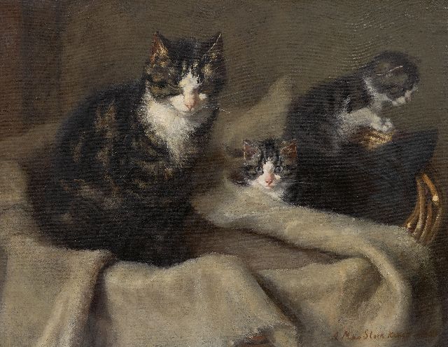 Kruijff A.M.  | Mother cat with two kittens, oil on canvas 35.2 x 45.4 cm, signed l.r. and dated 1908