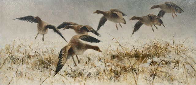 Essen J.C. van | Geese in a snowy landscape, oil on canvas 61.8 x 140.1 cm, signed l.r.