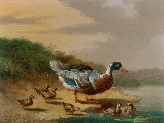 Albertus Verhoesen | Duck and ducklings by the water, oil on panel, 13.2 x 17.0 cm, signed l.l. and dated 1841