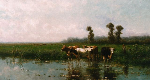 Vrolijk J.M.  | Cows watering, oil on panel 51.0 x 90.0 cm, signed l.l. and dated '87