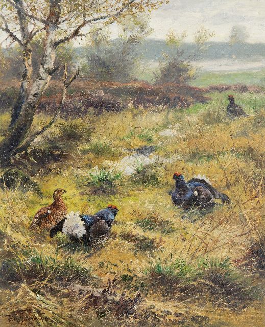 Wilhelm Buddenberg | Black grouses on the heath, oil on canvas, 50.1 x 40.0 cm, signed l.l.