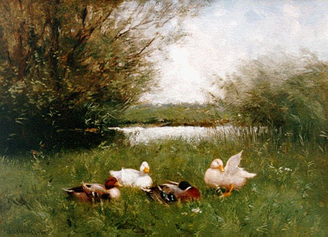 Constant Artz | Drakes and hens on the riverbank, oil on panel, 23.5 x 32.0 cm, signed l.l.
