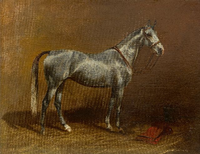 Westerop W.  | Portrait of a gray horse, oil on canvas 35.0 x 45.0 cm, signed l.l. and dated 1929