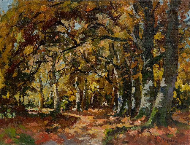 Vuuren J. van | Autumn forest, oil on canvas 19.2 x 25.2 cm, signed l.r.