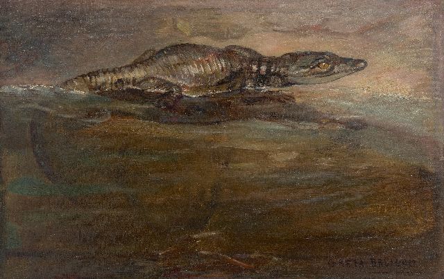 Bruigom M.C.  | Young Nile crocodile, oil on canvas 26.4 x 41.5 cm, signed l.r.