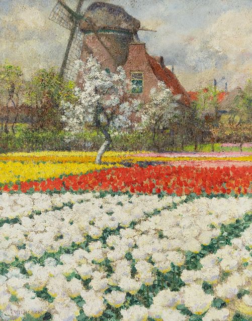 Hitchcock G.  | Double white Tulips, Egmond aan de Hoef, oil on canvas 55.7 x 43.8 cm, signed l.l.