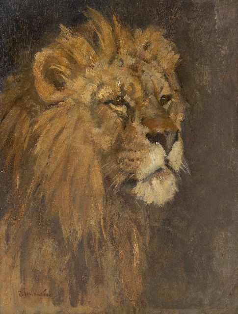 Cornelis Jan Mension | Lion head, oil on panel, 35.8 x 27.3 cm, signed l.l.