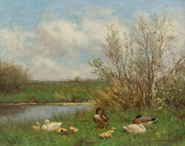 Constant Artz | Ducks along the waterside, oil on canvas, 40.5 x 50.4 cm, signed l.r. and without frame