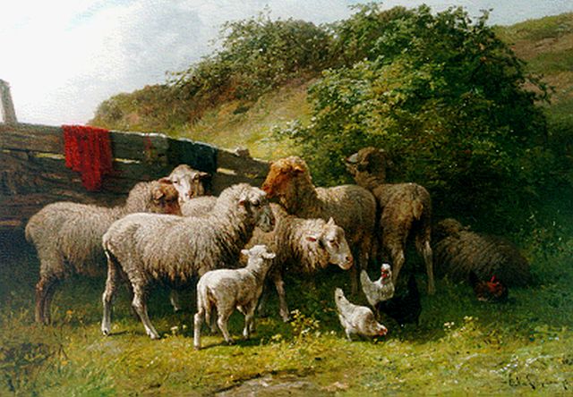 Leemputten C. van | Sheep and chickens by a fence, oil on panel 62.3 x 88.5 cm, signed l.r. and dated '73