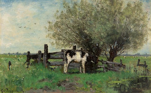 Geo Poggenbeek | Young cow at a fence in the meadow, oil on panel, 14.0 x 22.6 cm, signed l.l.