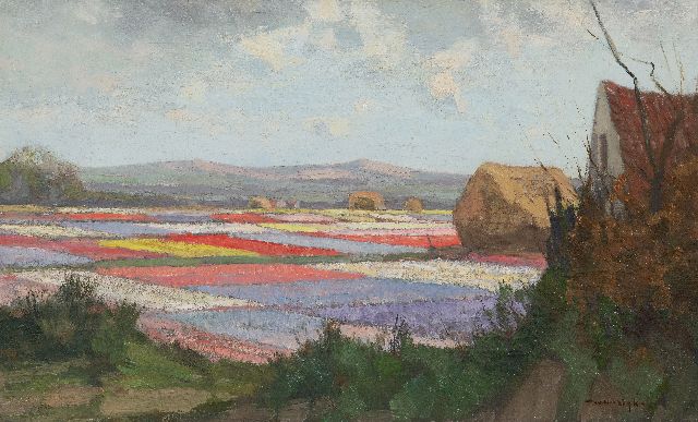 Willem Noordijk | Bulb fields behind the dunes, oil on canvas, 30.7 x 50.2 cm, signed l.r.
