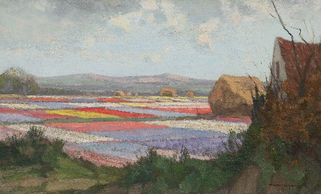 Noordijk W.F.  | Bulb fields behind the dunes, oil on canvas 30.7 x 50.2 cm, signed l.r.