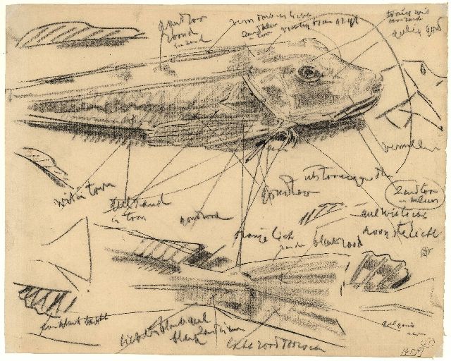 Gerrit Willem Dijsselhof | Study of sturgeons, black chalk on paper, 28.2 x 35.1 cm, signed l.l. with monogram