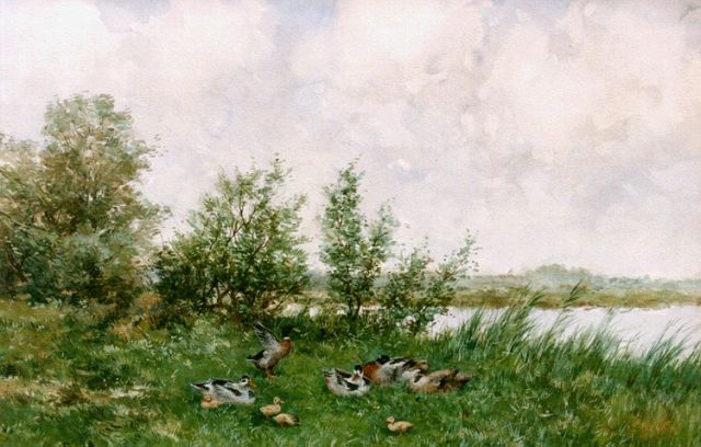 Constant Artz | Ducks on the riverbank, watercolour on paper, 36.0 x 52.0 cm, signed l.r.