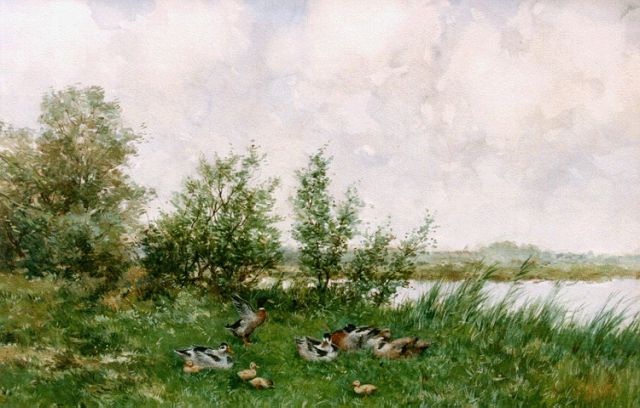 Artz C.D.L.  | Ducks on the riverbank, watercolour on paper 36.0 x 52.0 cm, signed l.r.